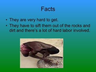 Facts They are very hard to get. They have to sift them out of the rocks and dirt and there’s a lot of hard labor involved. 