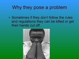 Why they pose a problem Sometimes if they don’t follow the rules and regulations they can be killed or get their hands cut off. 
