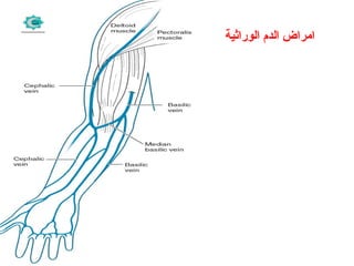 ‫الوراثية‬ ‫الدم‬ ‫امراض‬
.
 