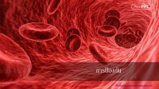 http://www.free-powerpoint-templates-design.com
การป้ องกัน
 
