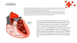 การรักษา
Right Atrium
Tricuspid
Valve
Right Ventricle
Left
Ventricle
Left
Atrium
Aortic
Valve
Mitral
ValvePulmonary
Valve
Pulmonary
Artery
Coronary
Artery
Aorta
เคมีบาบัดคือการรักษาโรคมะเร็งที่ใช้ยาต้านมะเร็งพิษ (อังกฤษ: cytotoxic anti-neoplastic drug) (ยาเคมีบาบัด (อังกฤษ: chemotherapeutic agents)) หนึ่งตัวหรือมากกว่า
เป็นส่วนหนึ่งของกฎเกณฑ์มาตรฐาน เคมีบาบัดจะครอบคลุมยาต้านมะเร็งใด ๆ ซึ่งจะแบ่งออกเป็นหมวดหมู่ในวงกว้างเช่น alkylating agents และ antimetabolites[113] ยาเคมี
บาบัดแบบดั้งเดิมทาหน้าที่ฆ่าเซลล์ที่แบ่งอย่างรวดเร็วซึ่งเป็นหนึ่งในคุณสมบัติหลักของเซลล์มะเร็งส่วนใหญ่
การรักษาด้วยการกาหนดเป้ าหมายเป็นรูปแบบหนึ่งของยาเคมีบาบัดที่เล็งเป้ าหมายไปที่โมเลกุลเฉพาะที่แตกต่างกันระหว่างเซลล์มะเร็งและเซลล์ปกติ การรักษาที่ตรงเป้ าหมาย
ครั้งแรกที่จะได้รับการพัฒนาขึ้นจะปิดกั้นโมเลกุลที่เป็นตัวรับฮอร์โมนเอสโตรเจนซึ่งเป็นการยับยั้งการเจริญเติบโตของมะเร็งเต้านม ตัวอย่างธรรมดาอีกกรณีหนึ่งก็คือระดับชั้น
ของสารยับยั้ง Bcr-Abl ซึ่งจะใช้ในการรักษาโรคมะเร็งเม็ดเลือดขาว myelogenous เรื้อรัง (CML)[114] ปัจจุบันมีการรักษาโดยกาหนดเป้ าหมายเพื่อรักษามะเร็งเต้านม, เนื้องอก
ไขกระดูกหลายจุด (อังกฤษ: multiple myeloma), โรคมะเร็งต่อมน้าเหลือง, มะเร็งต่อมลูกหมาก, มะเร็งผิวหนังและมะเร็งอื่น ๆ
ประสิทธิภาพของยาเคมีบาบัดขึ้นอยู่กับชนิดของโรคมะเร็งและระยะของโรค เมื่อใช้ร่วมกับการ
ผ่าตัด เคมีบาบัดได้พิสูจน์แล้วว่ามีประโยชน์ในหลายชนิดมะเร็งที่แตกต่างกัน ได้แก่ :. มะเร็งเต้า
นม, มะเร็งลาไส้ใหญ่, มะเร็งตับอ่อน, มะเร็งกระดูก, มะเร็งอัณฑะ, มะเร็งรังไข่และมะเร็งปอด
บางอย่าง[116] ประสิทธิภาพโดยรวมมีช่วงจากอยู่ระหว่างการรักษาโรคมะเร็งบางชนิดเช่น
leukemias บางชนิด[117][118] จนถึงไม่สัมฤทธิ์ผลเช่นในบางขนิดของเนื้องอกในสมอง[119] จนถึงไม่
จาเป็นในมะเร็งอื่น ๆ เช่นมะเร็งผิวหนังที่ไม่ใช่เนื้องอกส่วนใหญ่[120] ประสิทธิภาพของยาเคมี
บาบัดมักจะถูกจากัดโดยความเป็นพิษต่อเนื้อเยื่ออื่น ๆ ในร่างกาย ถึงแม้ในขณะที่มันเป็นไปไม่ได้
ที่จะให้ยาเคมีบาบัดสามารถรักษาโรคได้อย่างถาวร เคมีบาบัดอาจจะมีประโยชน์ในการลดอาการ
เช่นอาการปวดหรือเพื่อลดขนาดของเนื้องอกที่ไม่ทางานในความหวังว่าการผ่าตัดจะเป็นไปได้ใน
อนาคต
 