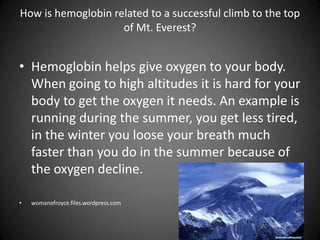 How is hemoglobin related to a successful climb to the top of Mt. Everest?Hemoglobin helps give oxygen to your body. When going to high altitudes it is hard for your body to get the oxygen it needs. An example is running during the summer, you get less tired,  in the winter you loose your breath much faster than you do in the summer because of the oxygen decline.womanofroyce.files.wordpress.com