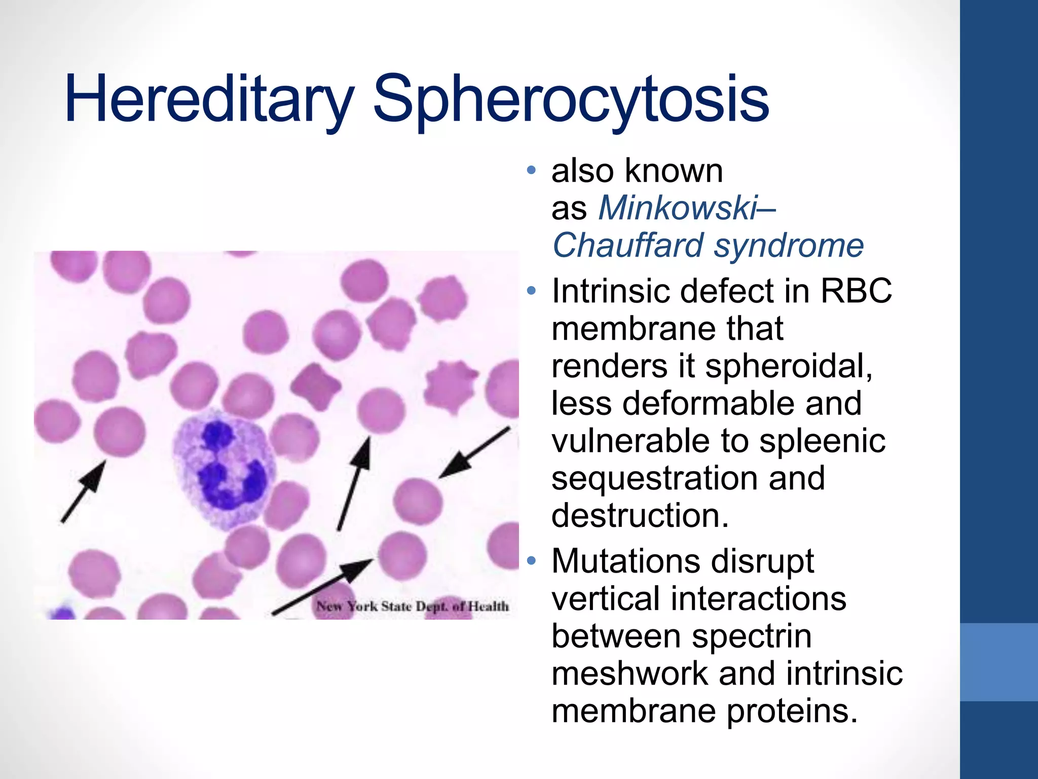 Dyscariasis Blood dyscrasias | PPTX