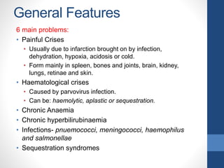 General Features
6 main problems:
• Painful Crises
• Usually due to infarction brought on by infection,
dehydration, hypoxia, acidosis or cold.
• Form mainly in spleen, bones and joints, brain, kidney,
lungs, retinae and skin.
• Haematological crises
• Caused by parvovirus infection.
• Can be: haemolytic, aplastic or sequestration.
• Chronic Anaemia
• Chronic hyperbilirubinaemia
• Infections- pnuemococci, meningococci, haemophilus
and salmonellae
• Sequestration syndromes
 
