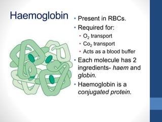 Haemoglobin • Present in RBCs.
• Required for:
• O2 transport
• Co2 transport
• Acts as a blood buffer
• Each molecule has 2
ingredients- haem and
globin.
• Haemoglobin is a
conjugated protein.
 