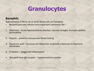 Granulocytes
Basophils
Approximately 0.4% to 1% of white blood cells are basophils.
• Basophill granules release some important substances like –
1. Histamine – Acute hypersensitivity reaction- vascular changes, increase capillary
permeability
2. Heparin – prevents intravascular blood clotting
3. Hyaluronic acid – necessary for deposition of ground substances in basement
membrane
4. Proteases – exaggerate inflammation
• Basophill have IgE receptor – hypersensitivity reaction
12/25/2018 19studyforum911@hotmail.com
 