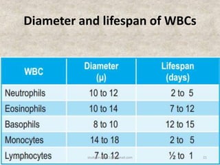 Diameter and lifespan of WBCs
12/25/2018 21studyforum911@hotmail.com
 