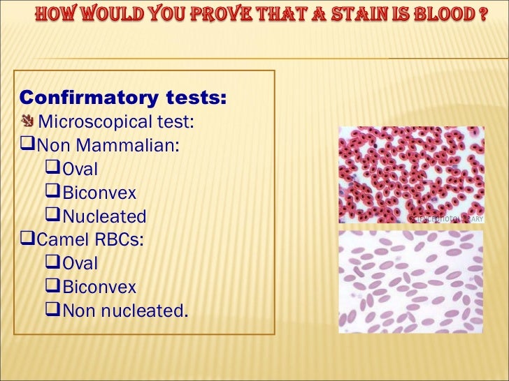 Blood examination