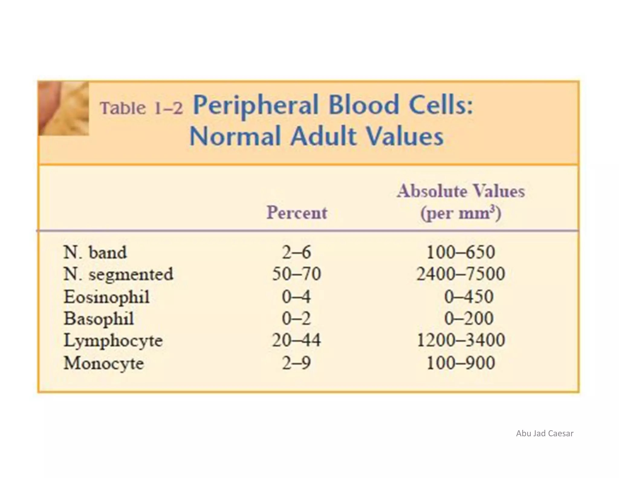 Blood film preparation and reporting | PDF