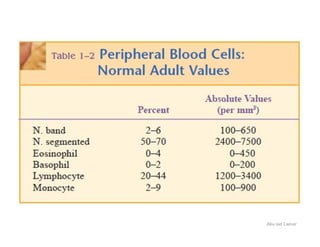 Blood film preparation and reporting | PDF