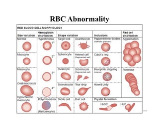 Blood film preparation and reporting | PDF