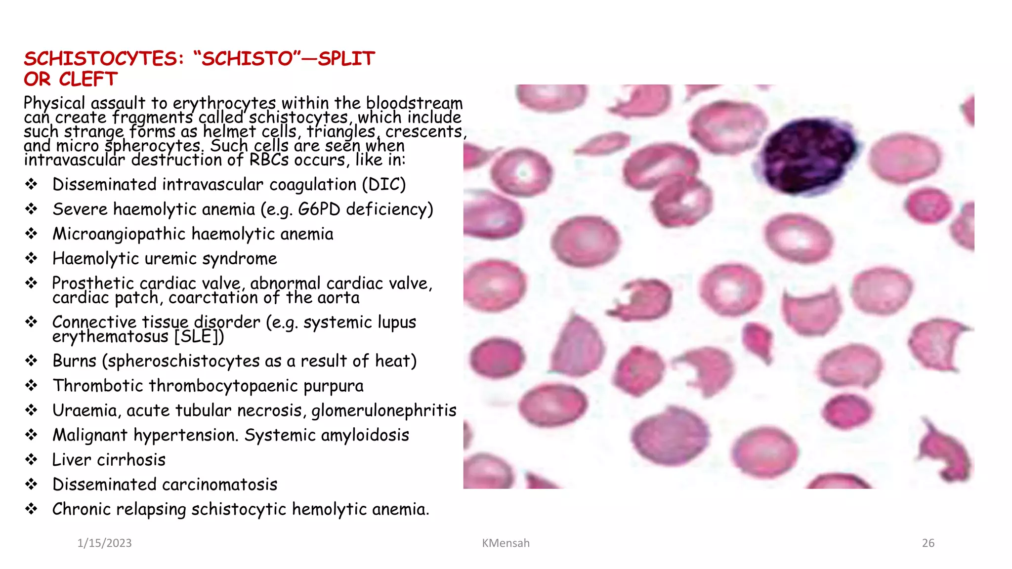 Systemic Cleft BLOOD FILM COMMENT part one.pptx