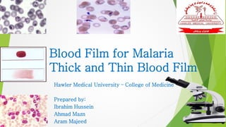 Blood Film for Malaria
Thick and Thin Blood Film
Hawler Medical University – College of Medicine
Prepared by:
Ibrahim Hussein
Ahmad Mazn
Aram Majeed
 