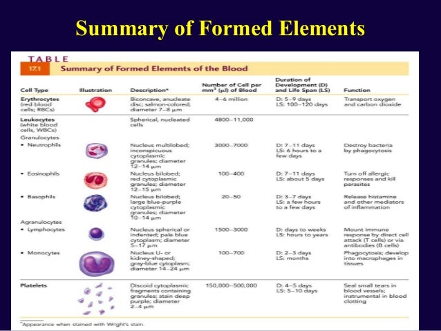 Properties Of Formed Elements Chart