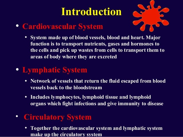 Blood formation and composition