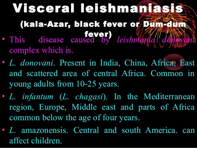 Blood Flagellates Or Haemoflagellates blood flagellates or haemoflagellates