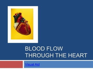 Blood Flow through the Heart Visual Aid 