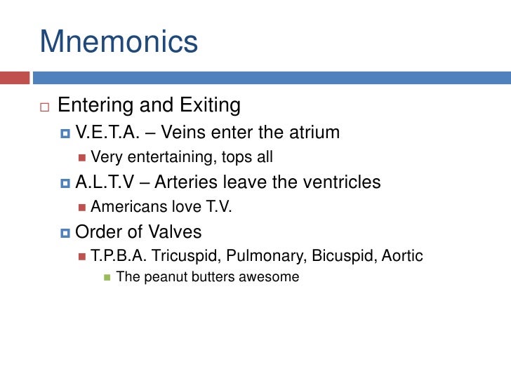 Mnemonic For Blood Flow Through The Heart Blood Flow Through The Heart