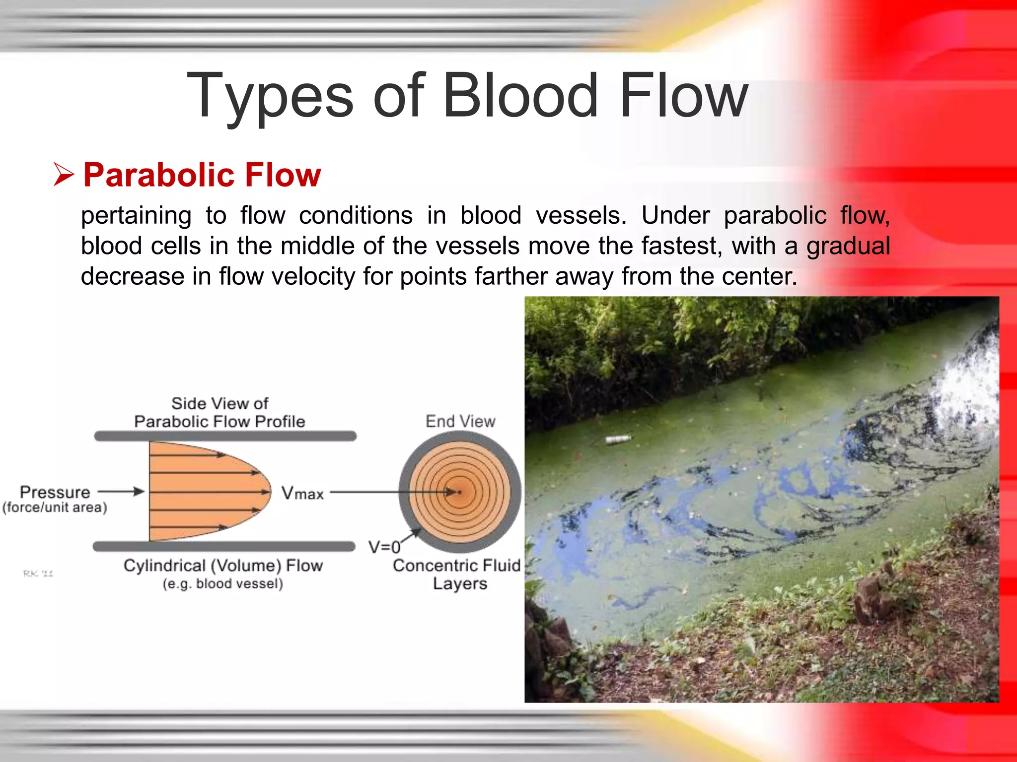 Types of Blood Flow
 Parabolic Flow
pertaining to flow conditions in blood vessels. Under parabolic flow,
blood cells in the middle of the vessels move the fastest, with a gradual
decrease in flow velocity for points farther away from the center.

 