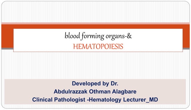Blood forming organs and Hematopoiesis.ppt