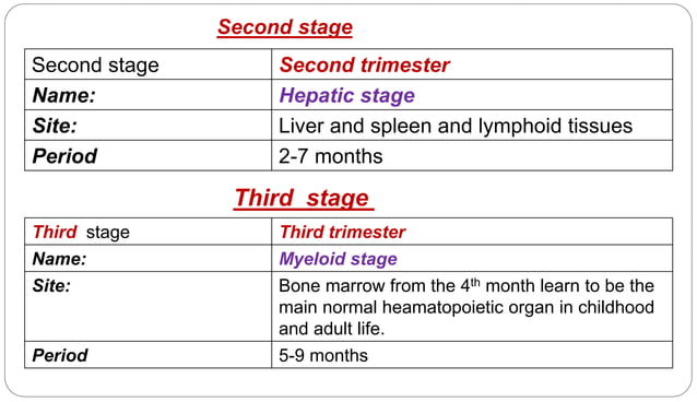 Blood forming organs and Hematopoiesis.ppt