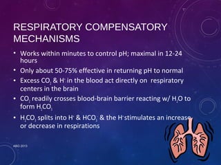 RESPIRATORY COMPENSATORY 
MECHANISMS 
• Works within minutes to control pH; maximal in 12-24 
hours 
• Only about 50-75% effective in returning pH to normal 
• Excess CO2 & H+ in the blood act directly on respiratory 
centers in the brain 
• CO2 readily crosses blood-brain barrier reacting w/ H2O to 
form H2CO3 
• H2CO3 splits into H+ & HCO3 
- & the H+ stimulates an increase 
or decrease in respirations 
ABG 2013 
 