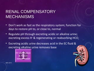 RENAL COMPENSATORY 
MECHANISMS 
• Don’t work as fast as the respiratory system; function for 
days to restore pH to, or close to, normal 
• Regulate pH through excreting acidic or alkaline urine; 
excreting excess H+ & regenerating or reabsorbing HCO- 
3 
• Excreting acidic urine decreases acid in the EC fluid & 
excreting alkaline urine removes base 
ABG 2013 
H+ elimination 
& HCO3- 
conservation 
 