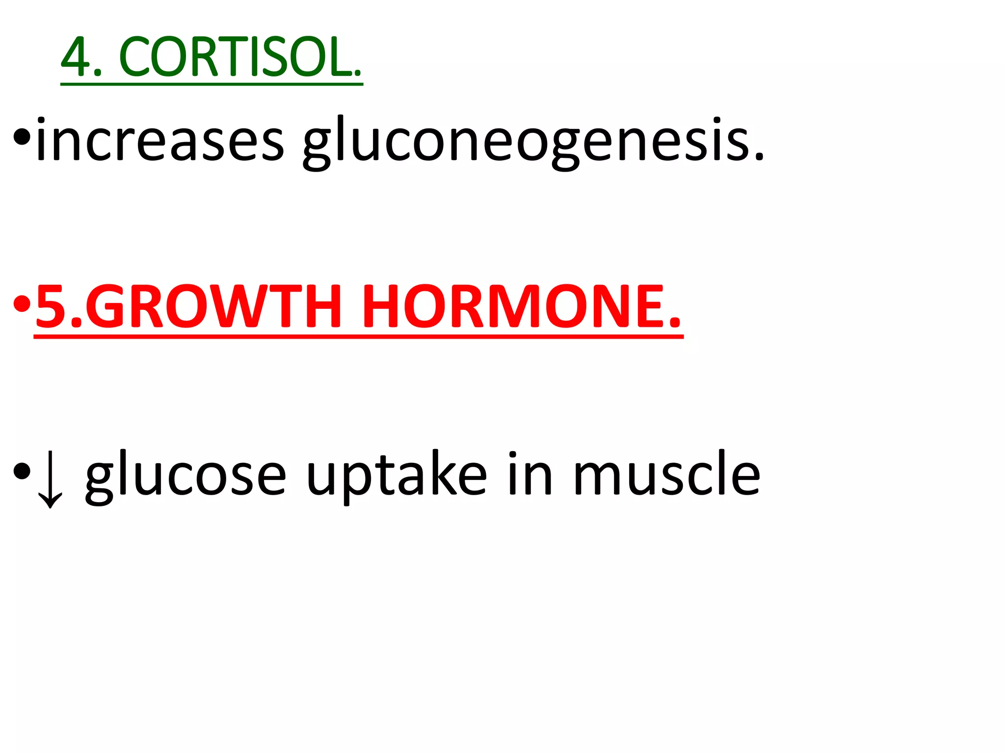 Blood Glucose Regulation ppt typical-german-food-lennart-moritz-h-1-ppt