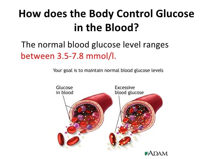 Blood Glucose