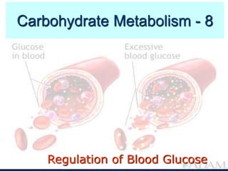 Regulation of Blood Glucose
Carbohydrate Metabolism - 8
 