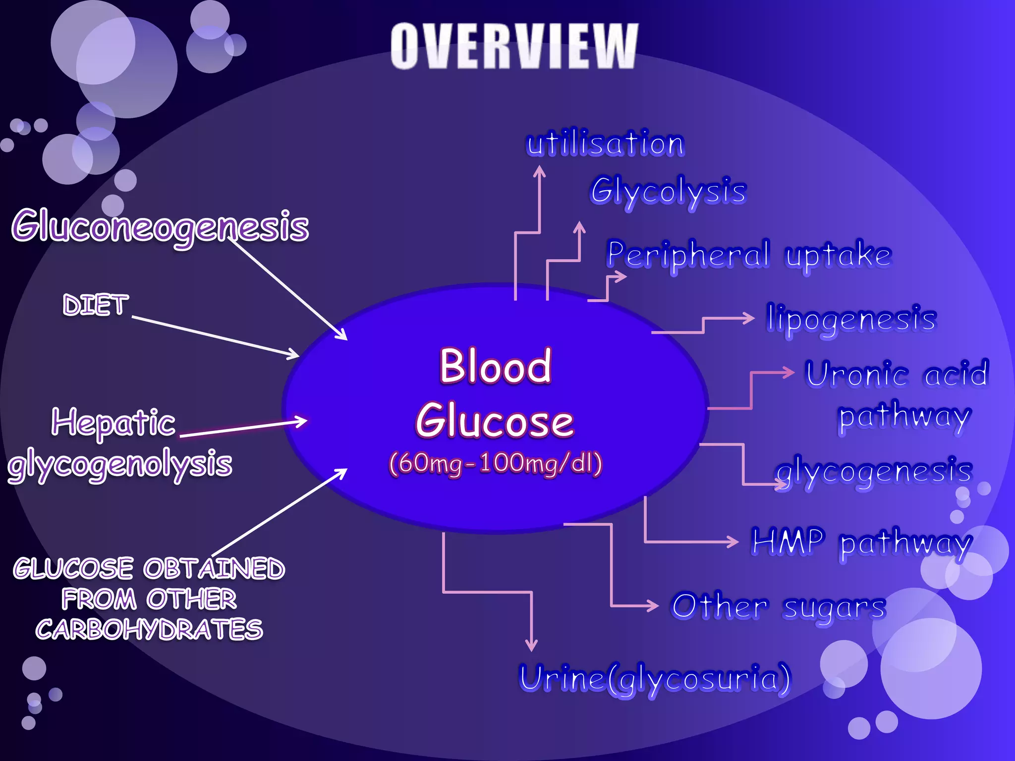 Blood glucose homeostasis | PPTX