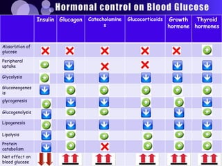 Insulin Glucagon   Catecholamine   Glucocorticoids   Growth   Thyroid
                                          s                           hormone hormones


Absorbtion of
glucose

Peripheral
uptake

Glycolysis

Gluconeogenes
is
glycogenesis

Glucogenolysis

Lipogenesis

Lipolysis

Protein
catabolism
Net effect on
blood glucose
 