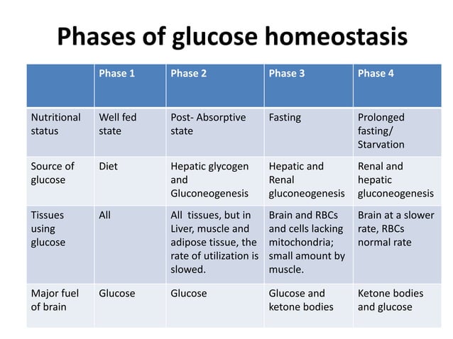 Blood glucose homeostasis | PPTX | Endocrine and Metabolic Diseases ...
