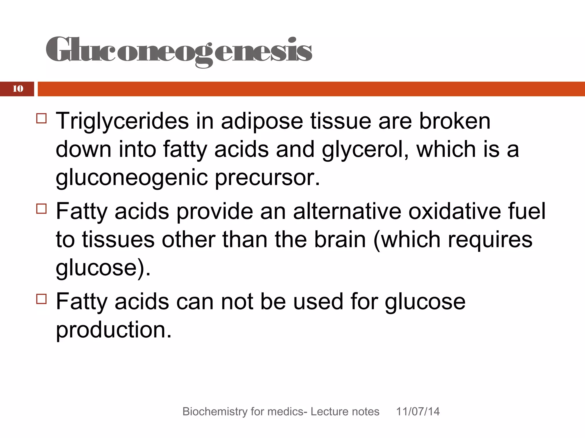Gluconeogenesis 
Biochemistry for medics- Lecture notes 11/07/14 
10 
 Triglycerides in adipose tissue are broken 
down into fatty acids and glycerol, which is a 
gluconeogenic precursor. 
 Fatty acids provide an alternative oxidative fuel 
to tissues other than the brain (which requires 
glucose). 
 Fatty acids can not be used for glucose 
production. 
 