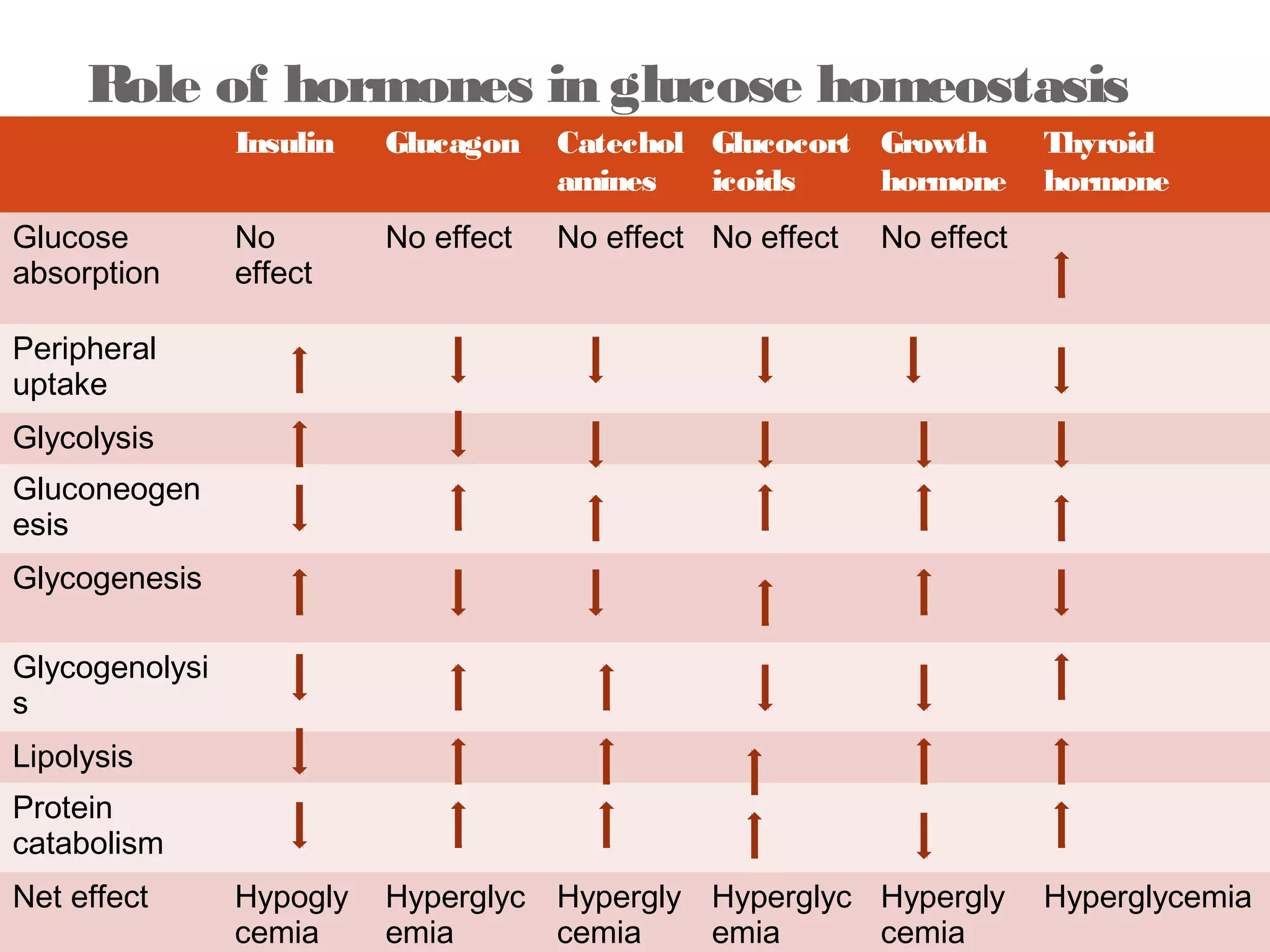 Role of hormones in glucose homeostasis 
Biochemistry for medics- Lecture notes 11/07/14 
22 
Insulin Glucagon Catechol 
amines 
Glucocort 
icoids 
Growth 
hormone 
Thyroid 
hormone 
Glucose 
absorption 
No 
effect 
No effect No effect No effect No effect 
Peripheral 
uptake 
Glycolysis 
Gluconeogen 
esis 
Glycogenesis 
Glycogenolysi 
s 
Lipolysis 
Protein 
catabolism 
Net effect Hypogly 
cemia 
Hyperglyc 
emia 
Hypergly 
cemia 
Hyperglyc 
emia 
Hypergly 
cemia 
Hyperglycemia 
 