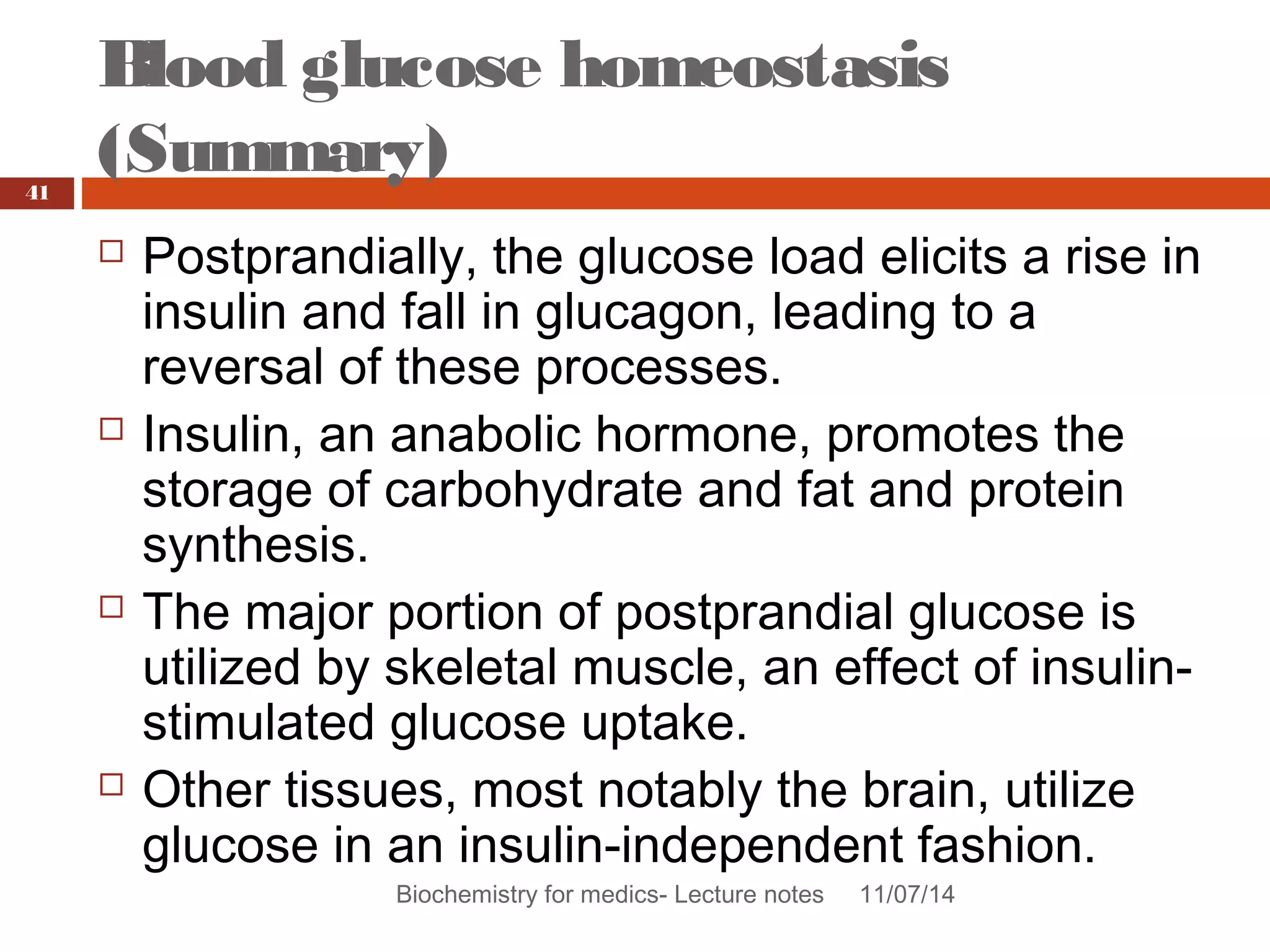 Blood glucose homeostasis 
(Summary) 
Biochemistry for medics- Lecture notes 11/07/14 
41 
 Postprandially, the glucose load elicits a rise in 
insulin and fall in glucagon, leading to a 
reversal of these processes. 
 Insulin, an anabolic hormone, promotes the 
storage of carbohydrate and fat and protein 
synthesis. 
 The major portion of postprandial glucose is 
utilized by skeletal muscle, an effect of insulin-stimulated 
glucose uptake. 
 Other tissues, most notably the brain, utilize 
glucose in an insulin-independent fashion. 
