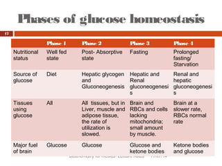 Phases of glucose homeostasis 
Biochemistry for medics- Lecture notes 11/07/14 
17 
Phase 1 Phase 2 Phase 3 Phase 4 
Nutritional 
status 
Well fed 
state 
Post- Absorptive 
state 
Fasting Prolonged 
fasting/ 
Starvation 
Source of 
glucose 
Diet Hepatic glycogen 
and 
Gluconeogenesis 
Hepatic and 
Renal 
gluconeogenesi 
s 
Renal and 
hepatic 
gluconeogenesi 
s 
Tissues 
using 
glucose 
All All tissues, but in 
Liver, muscle and 
adipose tissue, 
the rate of 
utilization is 
slowed. 
Brain and 
RBCs and cells 
lacking 
mitochondria; 
small amount 
by muscle. 
Brain at a 
slower rate, 
RBCs normal 
rate 
Major fuel 
of brain 
Glucose Glucose Glucose and 
ketone bodies 
Ketone bodies 
and glucose 
 
