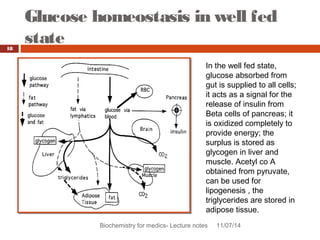 Glucose homeostasis in well fed 
state 
Biochemistry for medics- Lecture notes 11/07/14 
18 
In the well fed state, 
glucose absorbed from 
gut is supplied to all cells; 
it acts as a signal for the 
release of insulin from 
Beta cells of pancreas; it 
is oxidized completely to 
provide energy; the 
surplus is stored as 
glycogen in liver and 
muscle. Acetyl co A 
obtained from pyruvate, 
can be used for 
lipogenesis , the 
triglycerides are stored in 
adipose tissue. 
 