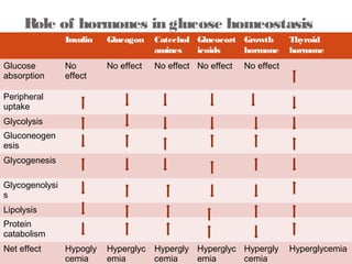 Role of hormones in glucose homeostasis 
Biochemistry for medics- Lecture notes 11/07/14 
22 
Insulin Glucagon Catechol 
amines 
Glucocort 
icoids 
Growth 
hormone 
Thyroid 
hormone 
Glucose 
absorption 
No 
effect 
No effect No effect No effect No effect 
Peripheral 
uptake 
Glycolysis 
Gluconeogen 
esis 
Glycogenesis 
Glycogenolysi 
s 
Lipolysis 
Protein 
catabolism 
Net effect Hypogly 
cemia 
Hyperglyc 
emia 
Hypergly 
cemia 
Hyperglyc 
emia 
Hypergly 
cemia 
Hyperglycemia 
 