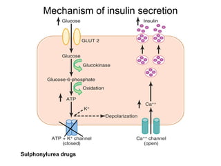 Mechanism of insulin secretion Sulphonylurea drugs 