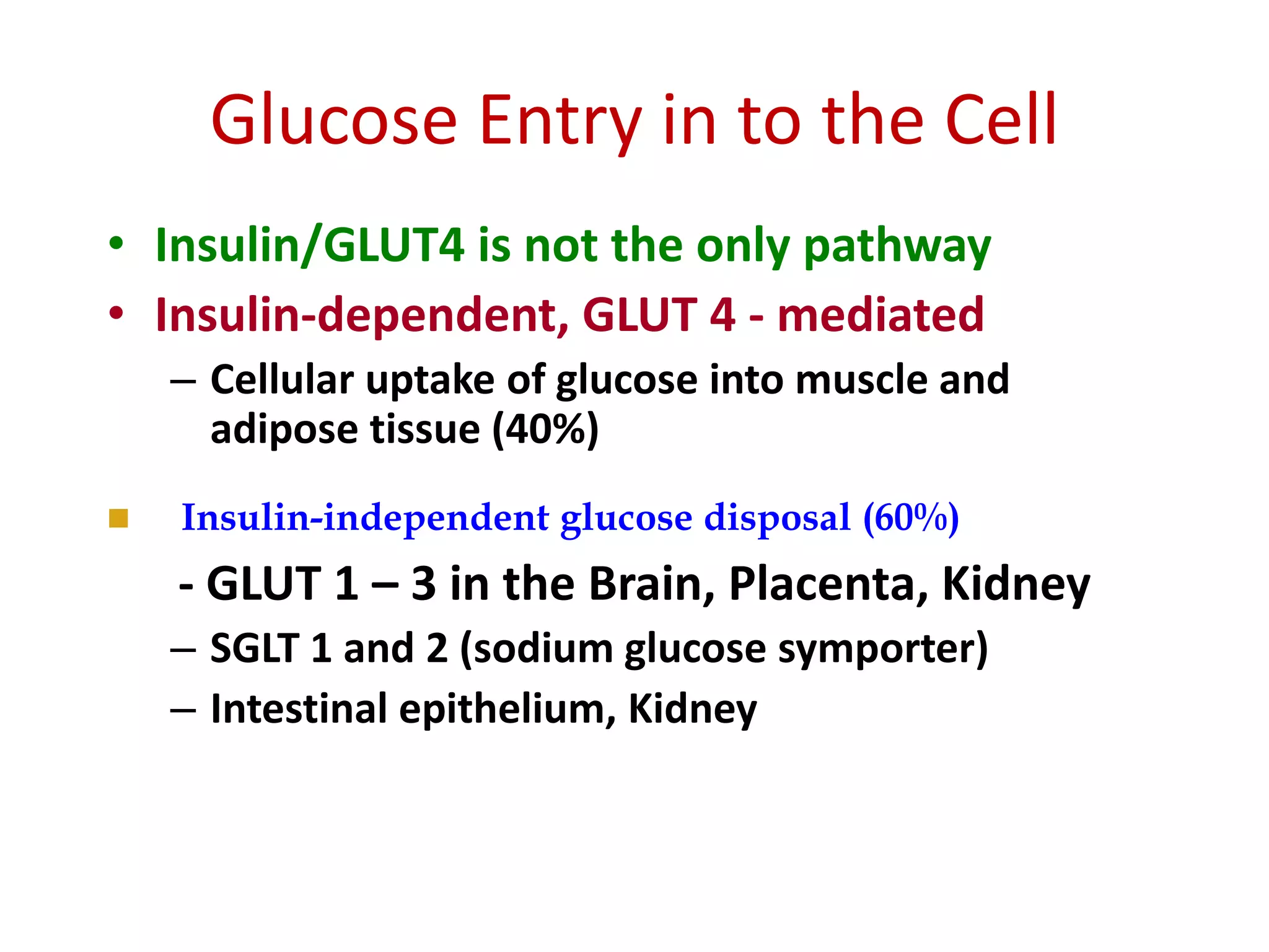 Curated visual reference: Picture Idea: Blood Glucose Regulation Dr Veerendra