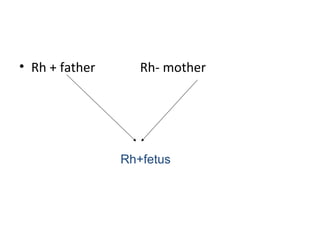 • Rh + father      Rh- mother




                Rh+fetus
 
