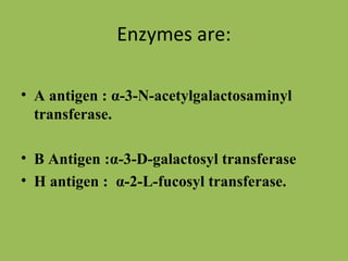 Enzymes are:

• A antigen : α-3-N-acetylgalactosaminyl
  transferase.

• B Antigen :α-3-D-galactosyl transferase
• H antigen : α-2-L-fucosyl transferase.
 
