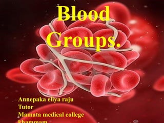 Blood
Groups.
Gmers Medical College,
Valsad
1st MBBS
Roll No: 21-30
Batch: C
Mentor: Dr. Divyesh Sir
Blood
Groups.
Annepaka eliya raju
Tutor
Mamata medical college
 