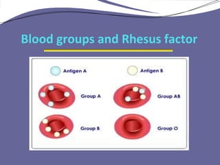 Blood group.007[1] | PPT