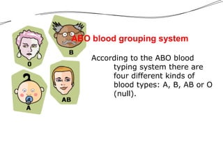 According to the ABO blood
typing system there are
four different kinds of
blood types: A, B, AB or O
(null).
ABO blood grouping system
 