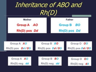 Blood Groups and abo grouping and RH system | PPT
