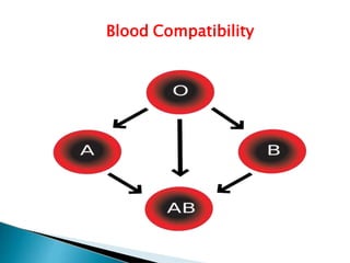 Blood Compatibility
Mujtaba Ashraf 16/09/2015 19
 