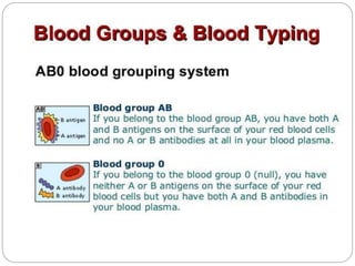 Blood group determination | PPTX