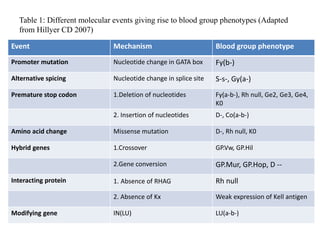 Table 1: Different molecular events giving rise to blood group phenotypes (Adapted
from Hillyer CD 2007)
Event Mechanism Blood group phenotype
Promoter mutation Nucleotide change in GATA box Fy(b-)
Alternative spicing Nucleotide change in splice site S-s-, Gy(a-)
Premature stop codon 1.Deletion of nucleotides Fy(a-b-), Rh null, Ge2, Ge3, Ge4,
K0
2. Insertion of nucleotides D-, Co(a-b-)
Amino acid change Missense mutation D-, Rh null, K0
Hybrid genes 1.Crossover GP.Vw, GP.Hil
2.Gene conversion GP.Mur, GP.Hop, D --
Interacting protein 1. Absence of RHAG Rh null
2. Absence of Kx Weak expression of Kell antigen
Modifying gene IN(LU) LU(a-b-)
 